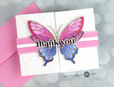 Butterflies die