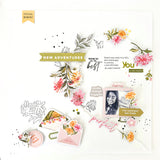 Chrysanthemum washi