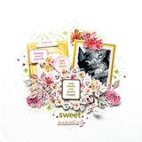 Chrysanthemum die