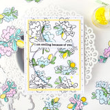 Citrus Bloom die