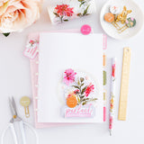 Chrysanthemum washi
