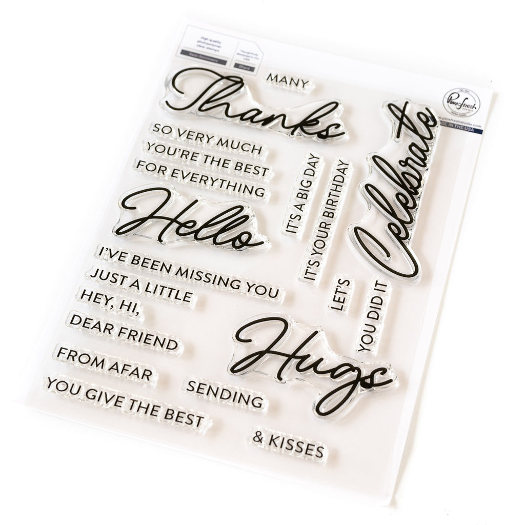 Libatious Sentiments Basic Sentiments stamp – Pinkfresh Studio