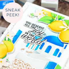 Create & Connect: Creative Passport (Feb 2026)