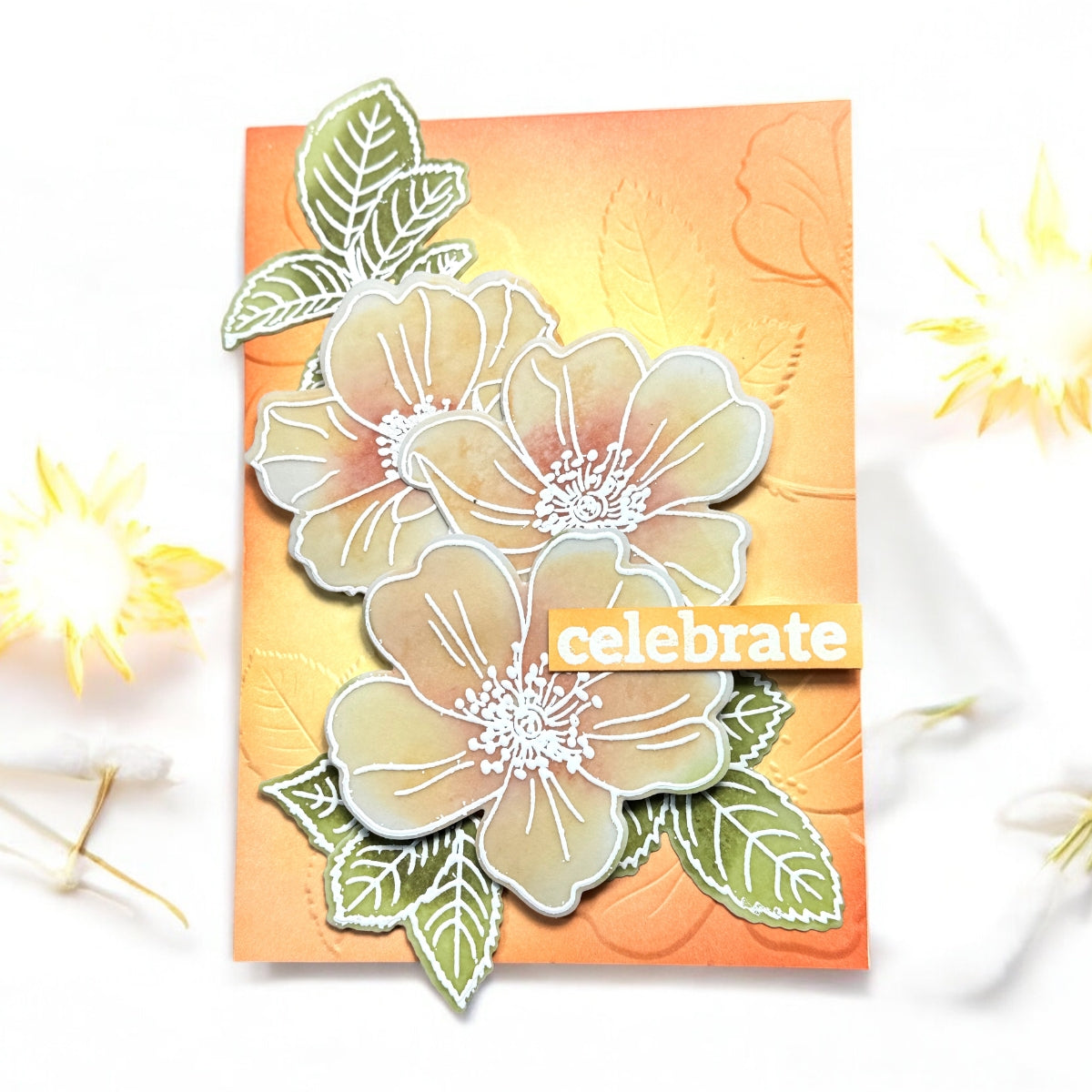 Briar Blossom Bundle