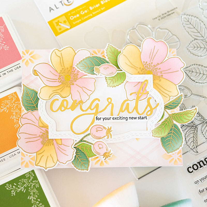 Briar Blossom Bundle